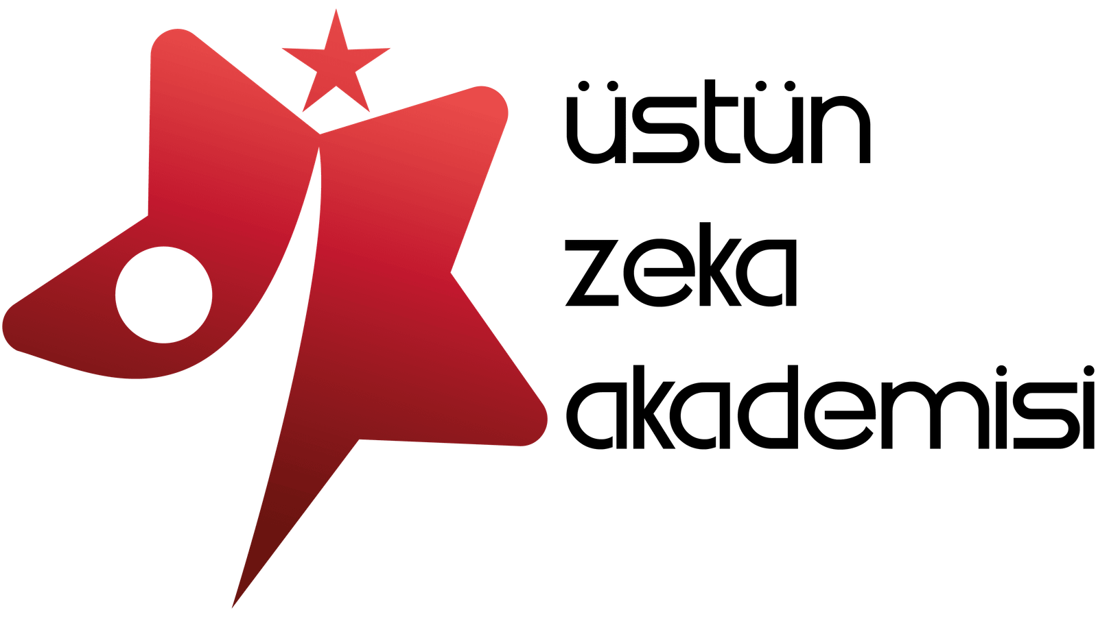Üstün Zeka Akademisi